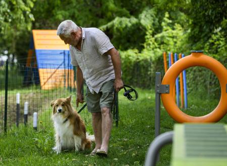 Strefa Dog Agility