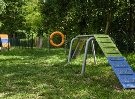 Strefa Dog Agility